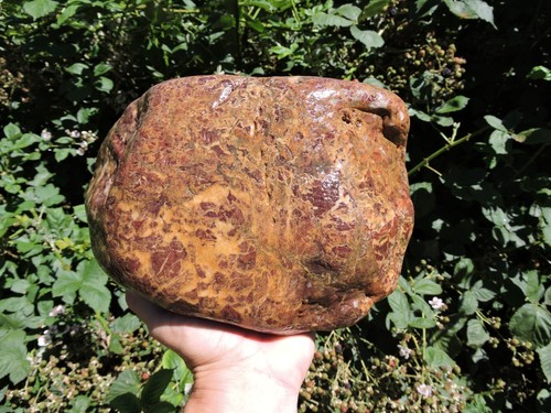 16lb alta qualità raro - alta, nodulo